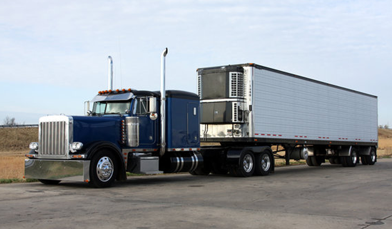 Refrigerated Reefer Truck Trailer for Perishable Goods